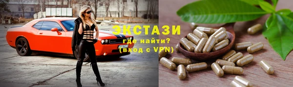 шишки Ельня
